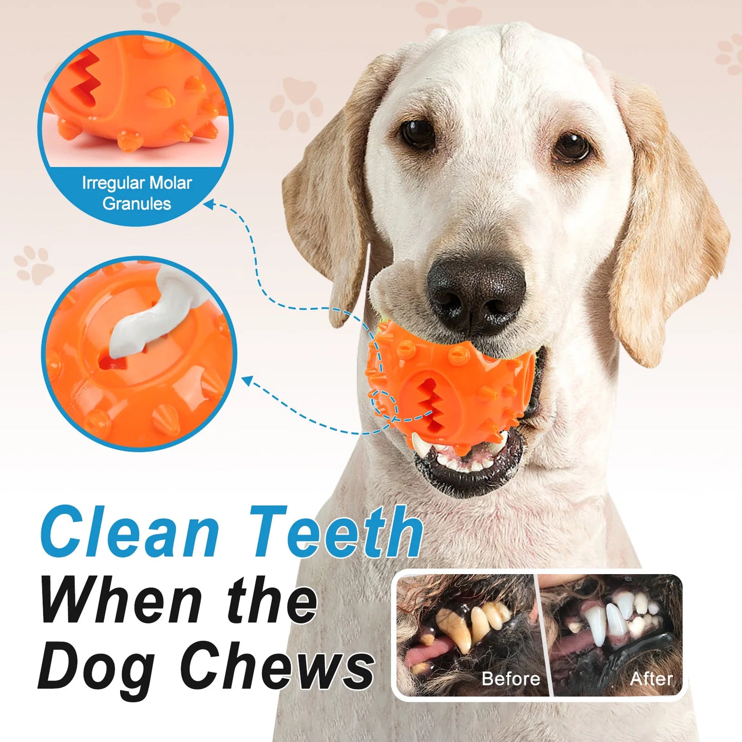 Pelota Interactiva 2 en 1: Dispensador de Premios y Limpiador Dental