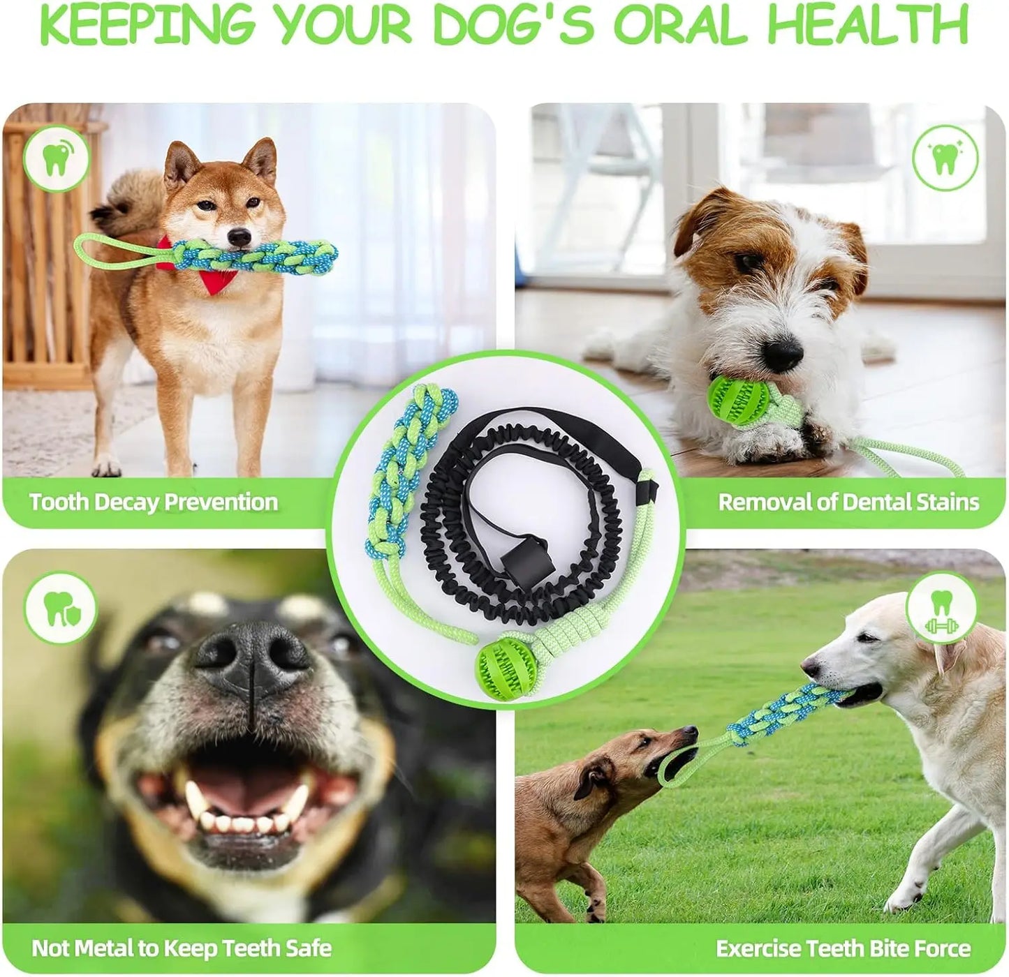 Spring Pole: Juguete Colgante de Resistencia para Perros Fuertes