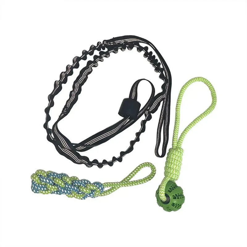 Spring Pole: Juguete Colgante de Resistencia para Perros Fuertes