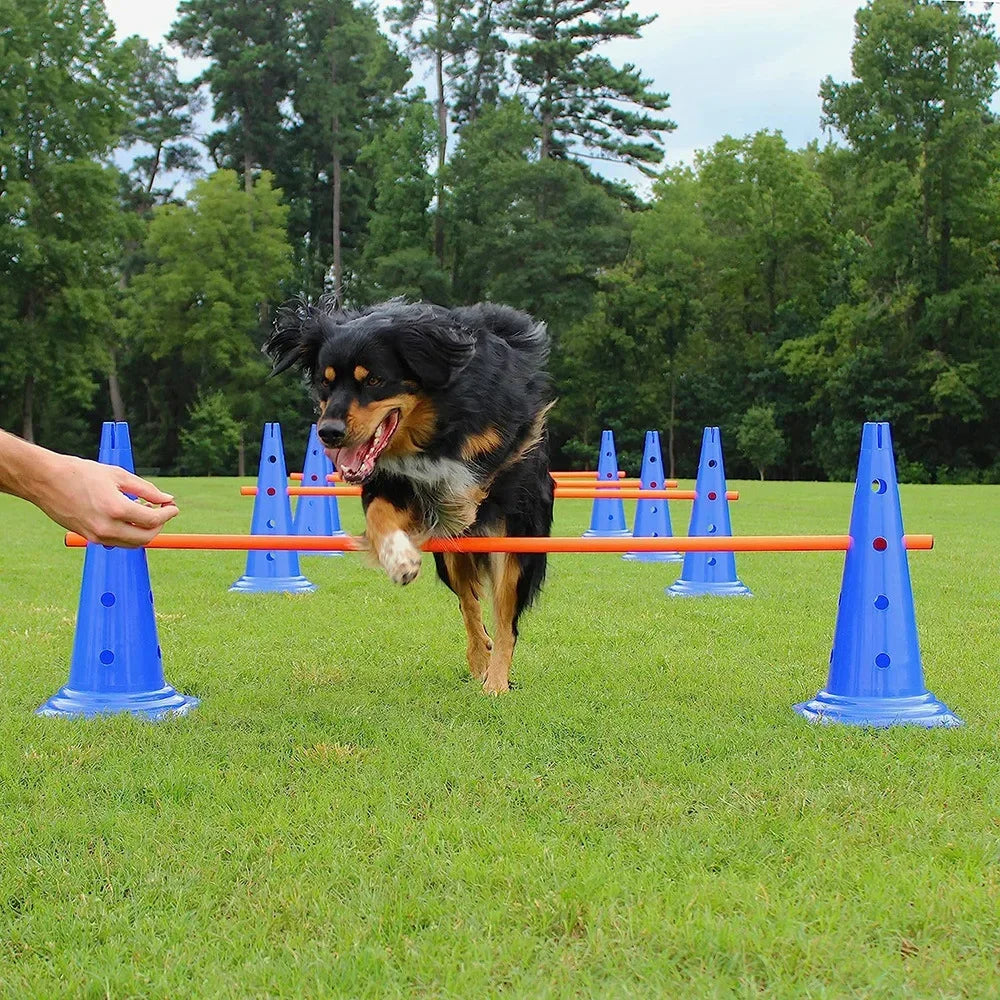 Kit de Agilidad para Perros - Set de Entrenamiento con Salto, Aro y Slalom