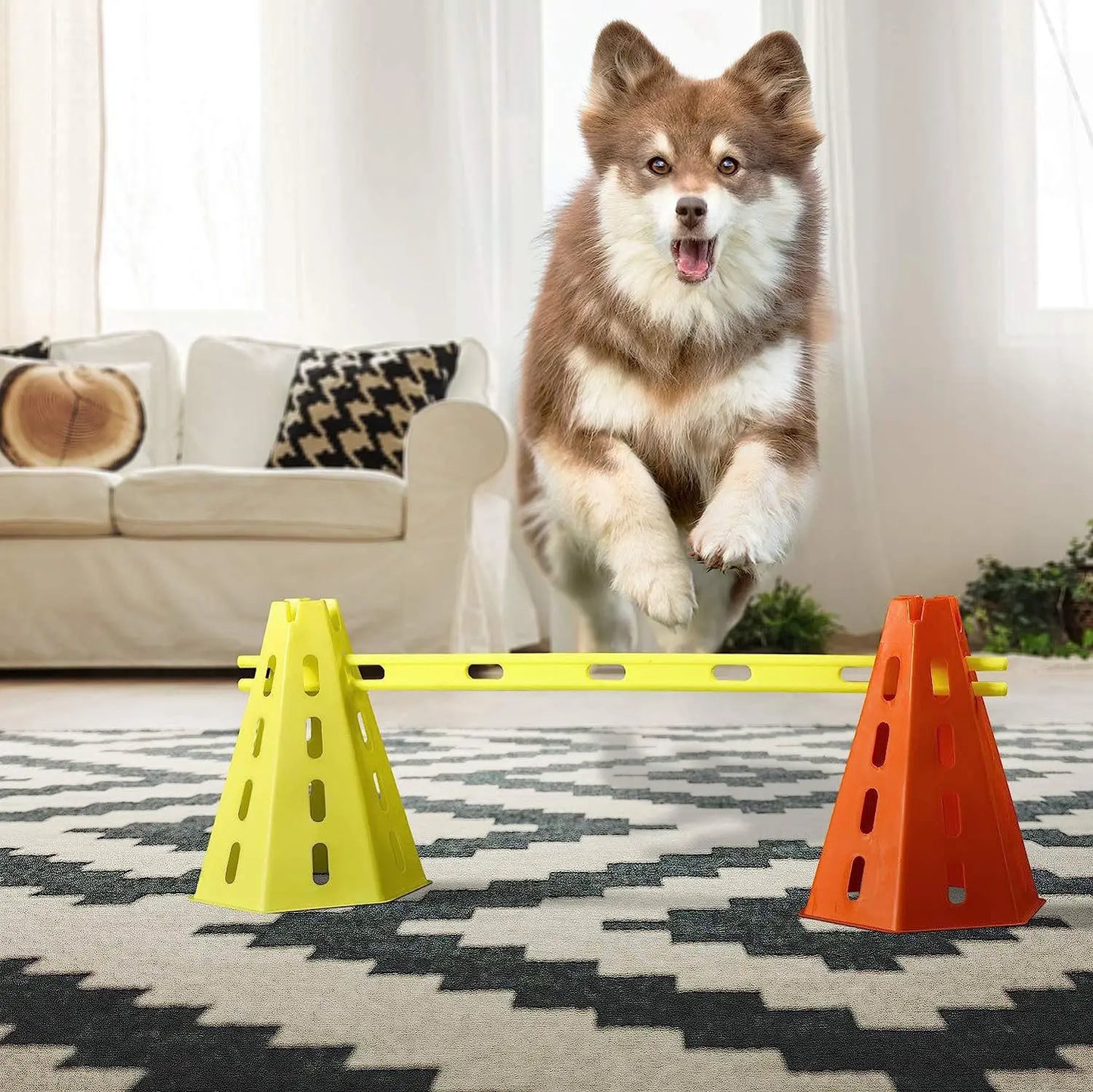 Kit de Agilidad para Perros - Set de Entrenamiento con Salto, Aro y Slalom