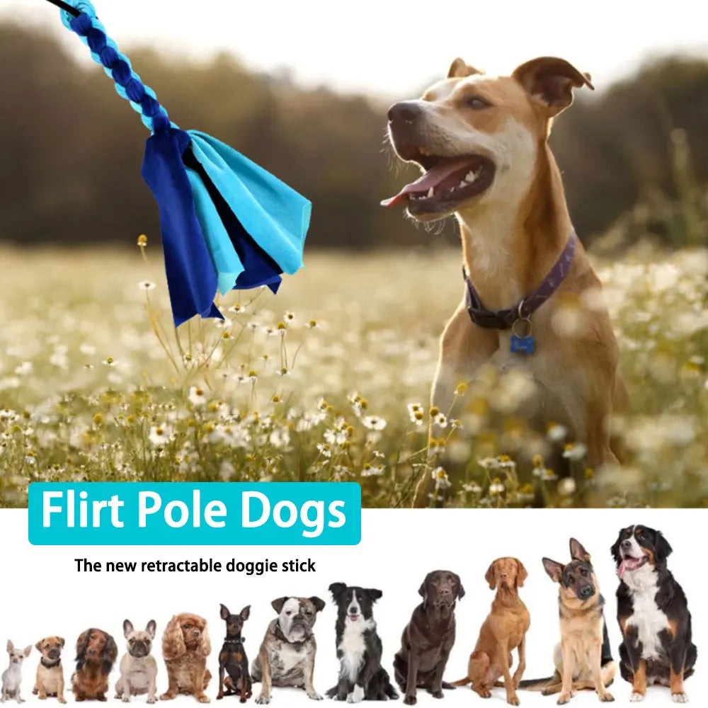 Flirt Pole Telescópico para Perros - Juguete Interactivo de Persecución