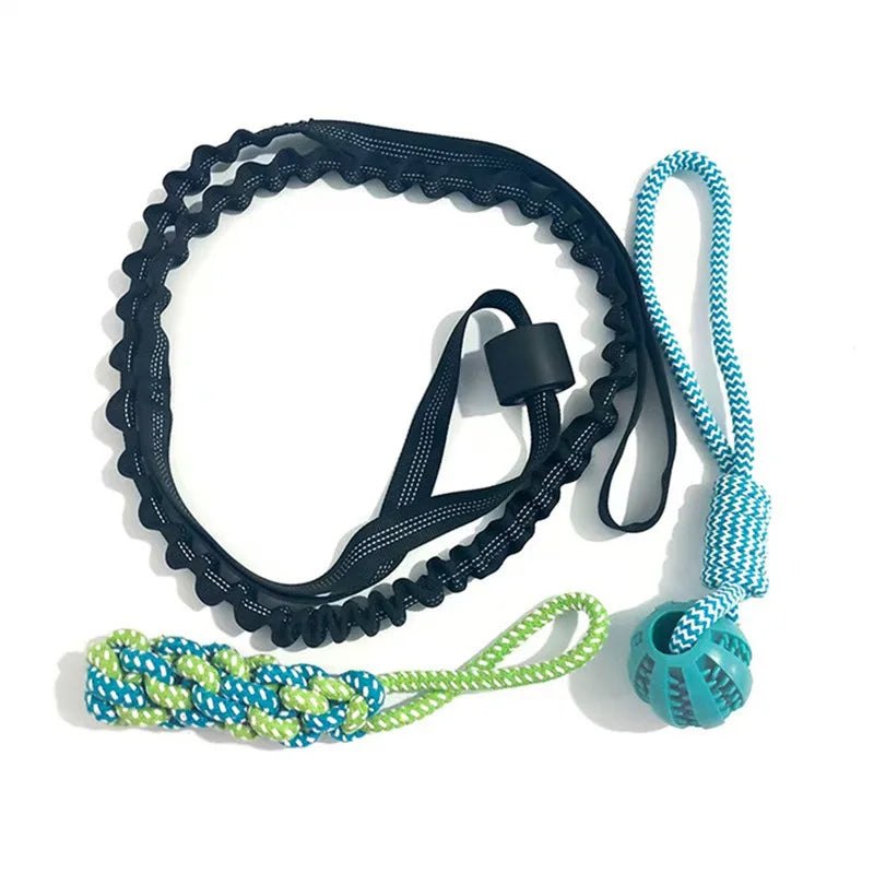 Spring Pole: Juguete Colgante de Resistencia para Perros Fuertes