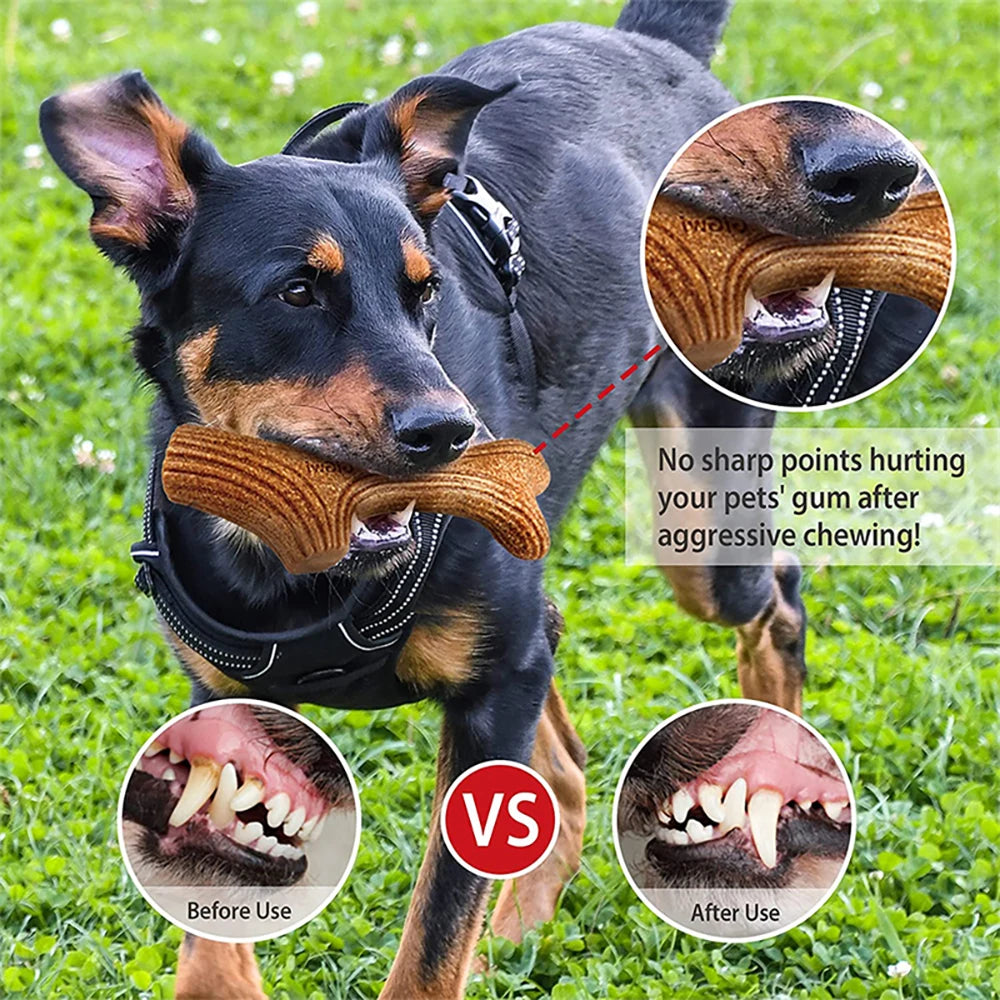 Mordedor "Asta de Madera" para Perros - Juguete Ultra Resistente Sabor a Pino