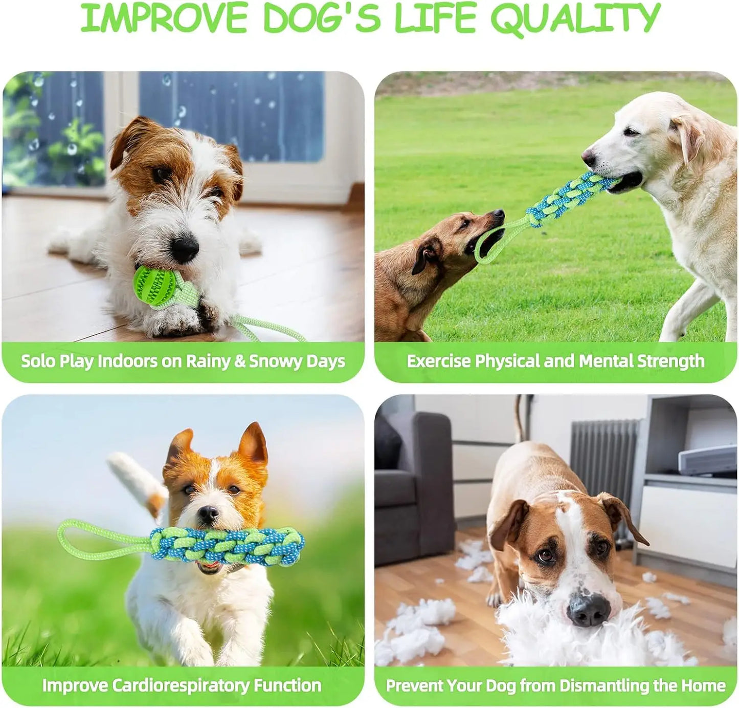 Spring Pole: Juguete Colgante de Resistencia para Perros Fuertes