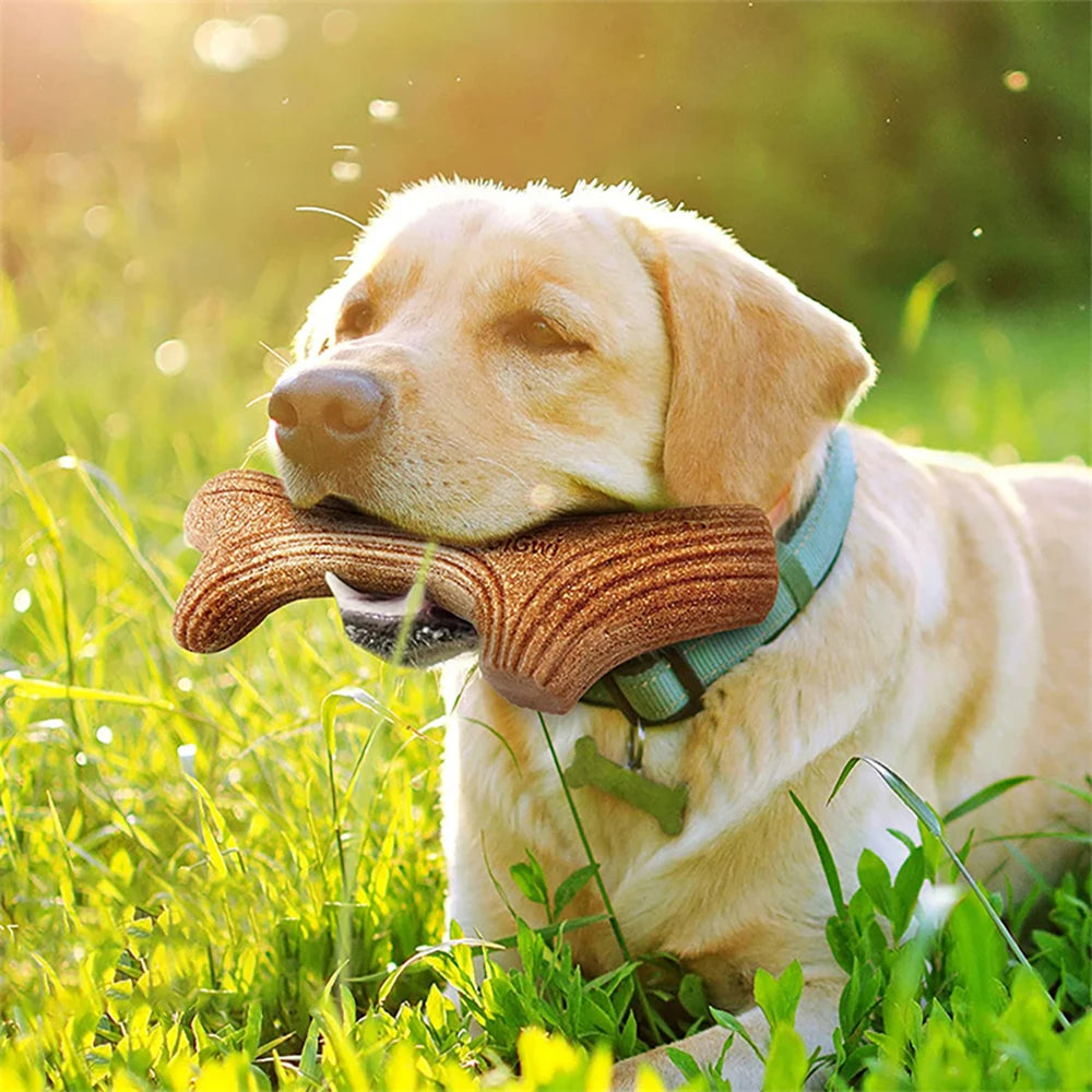 Mordedor "Asta de Madera" para Perros - Juguete Ultra Resistente Sabor a Pino