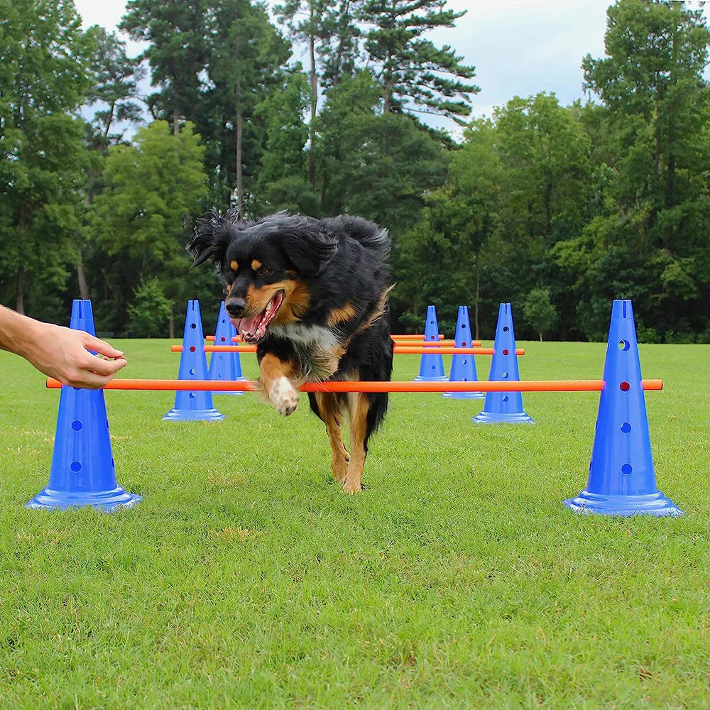 Kit de Agilidad para Perros - Set de Entrenamiento con Salto, Aro y Slalom