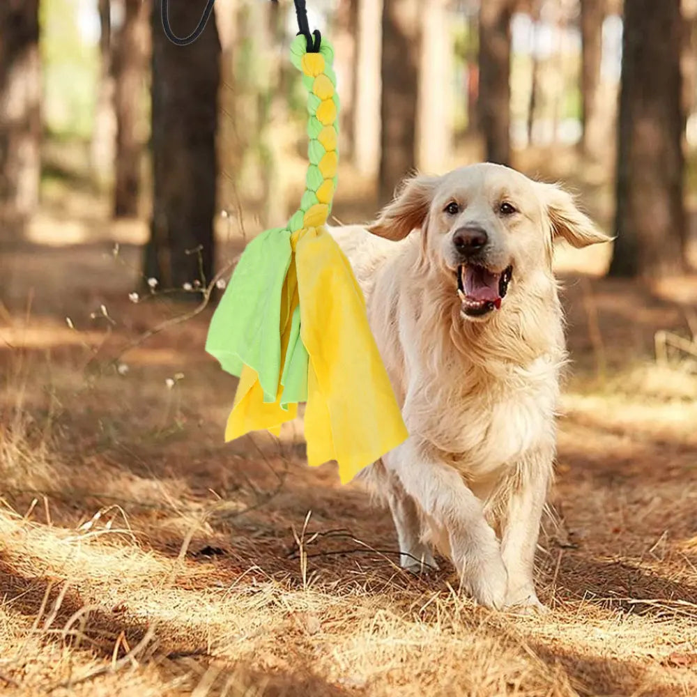 Flirt Pole Telescópico para Perros - Juguete Interactivo de Persecución