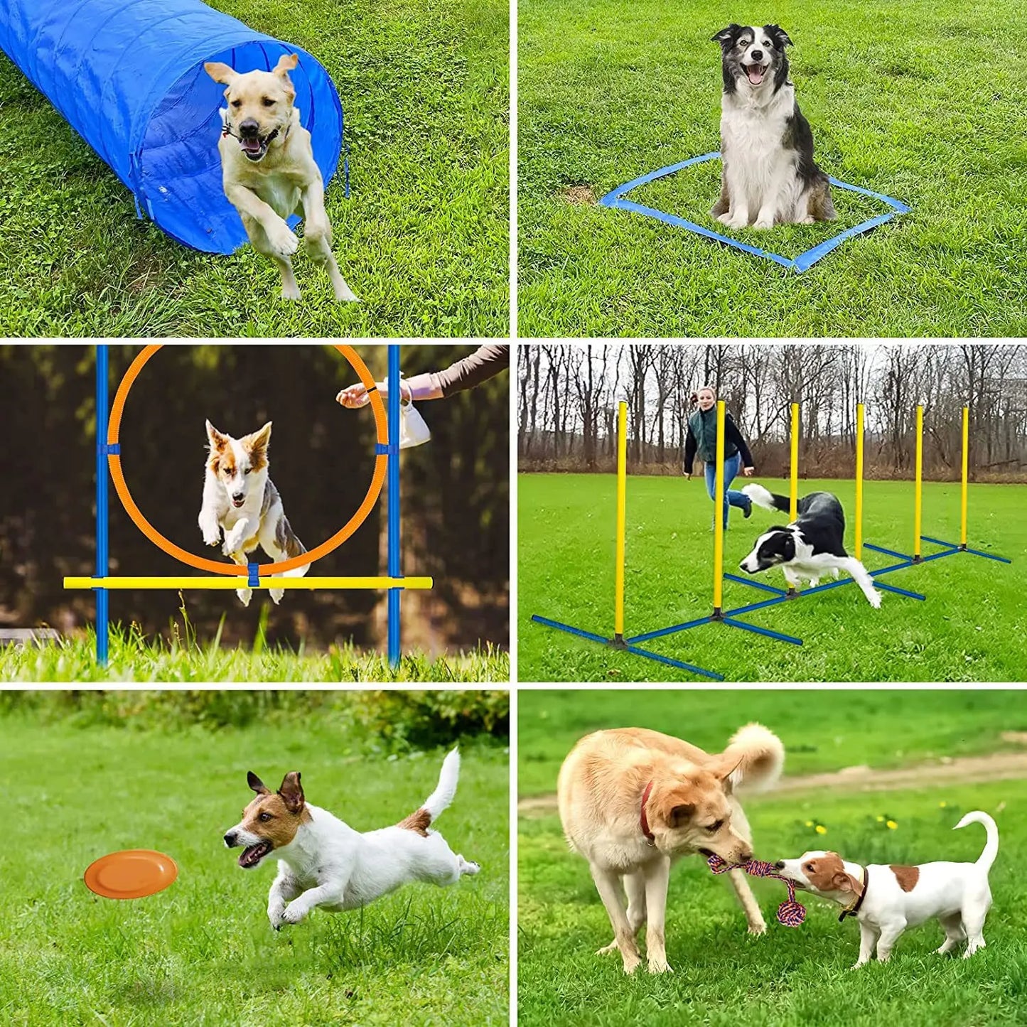 Kit de Agilidad para Perros - Set de Entrenamiento con Salto, Aro y Slalom