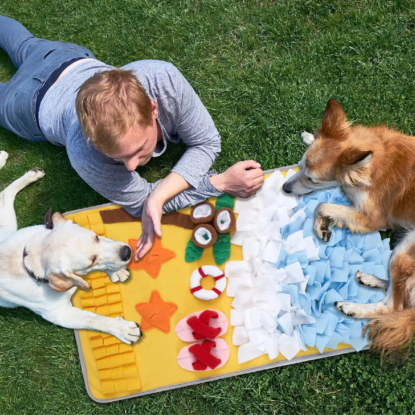 Colección de Alfombras Olfativas para Perros (Varios Diseños)