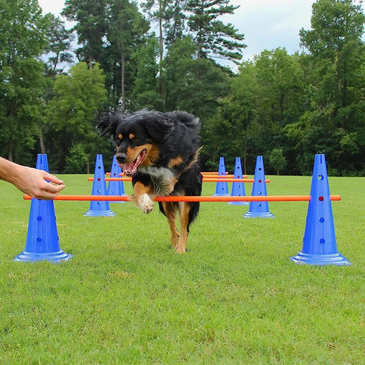 Kit de Agilidad para Perros - Set de Entrenamiento con Salto, Aro y Slalom