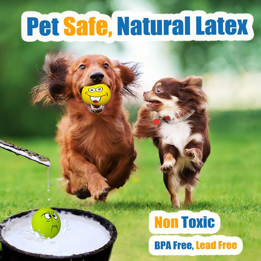 Pack de 6 Pelotas de Látex Natural con Sonido para Cachorros y Perros Pequeños