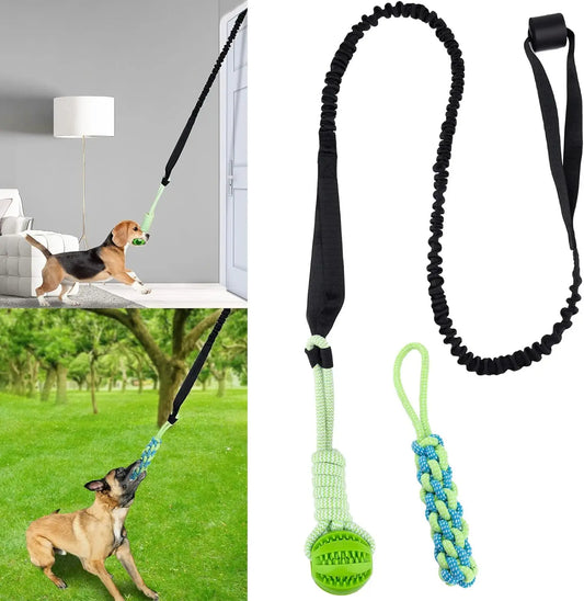 Spring Pole: Juguete Colgante de Resistencia para Perros Fuertes