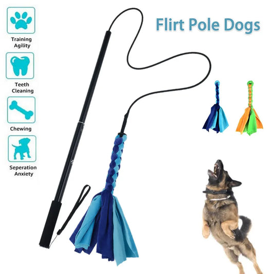 Flirt Pole Telescópico para Perros - Juguete Interactivo de Persecución